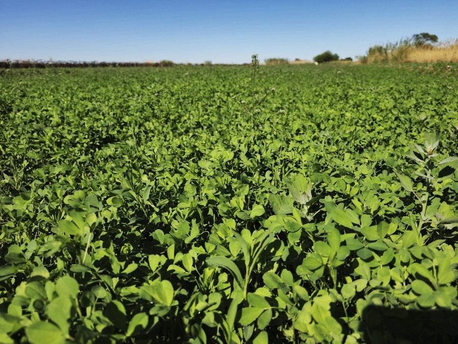 Commercial Property for Sale in Keimoes Rural Northern Cape